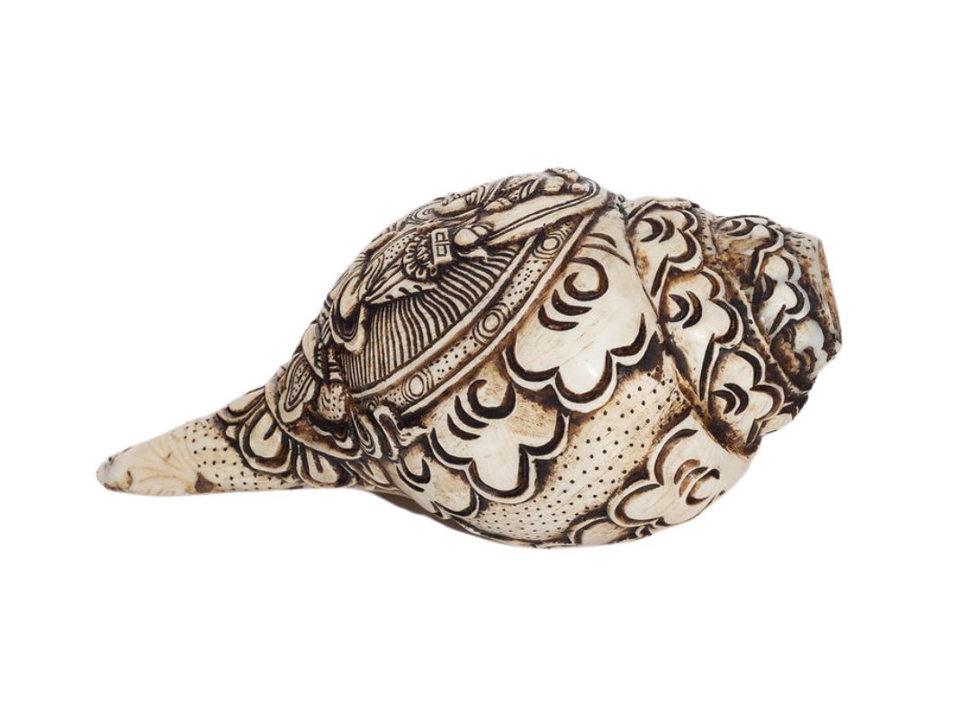 Caracola Manjushri vivirnepal.com